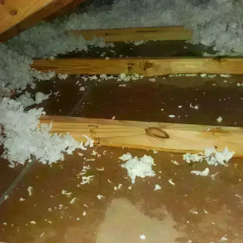 Attic Water Damage in Mora, MN